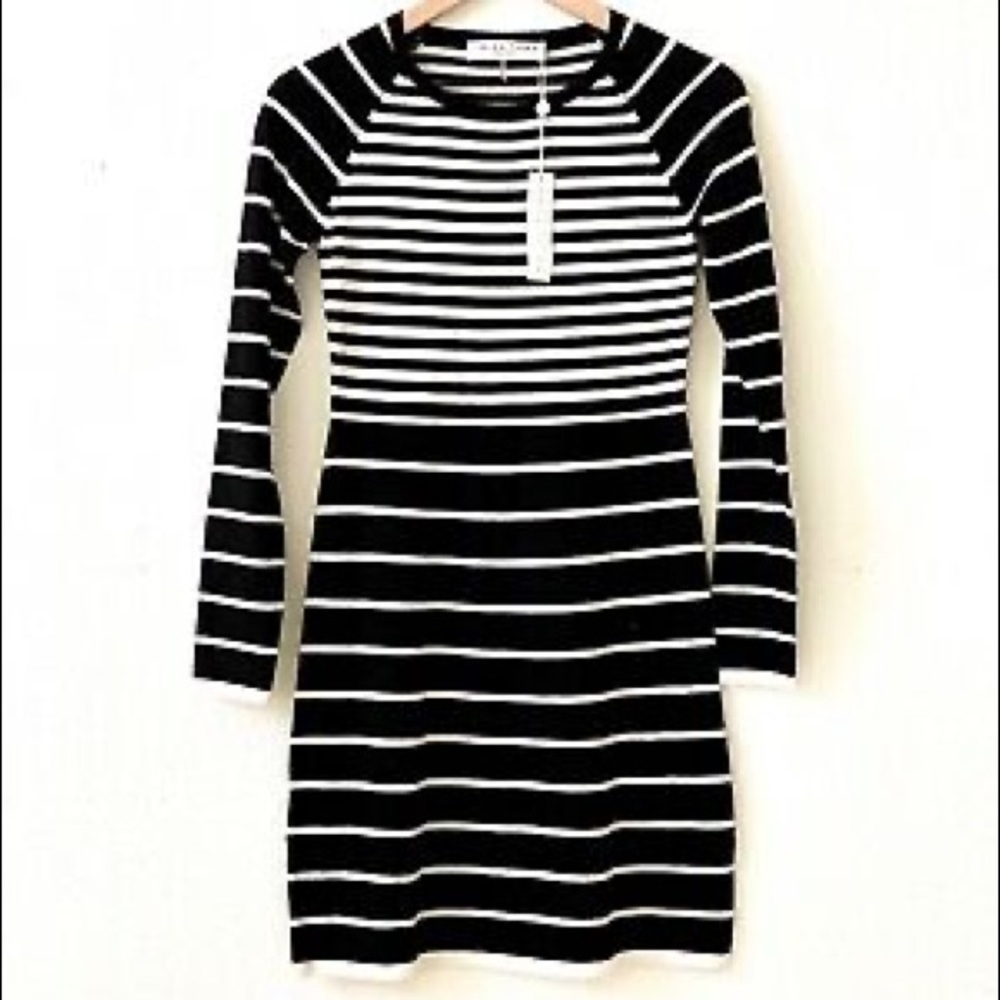 🎈 Beautiful Merino Wool Trina Turk Dress - New